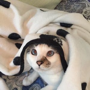 Meet your Posher, Grace a